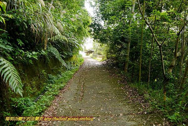 P1970121.jpg P1970121.jpg