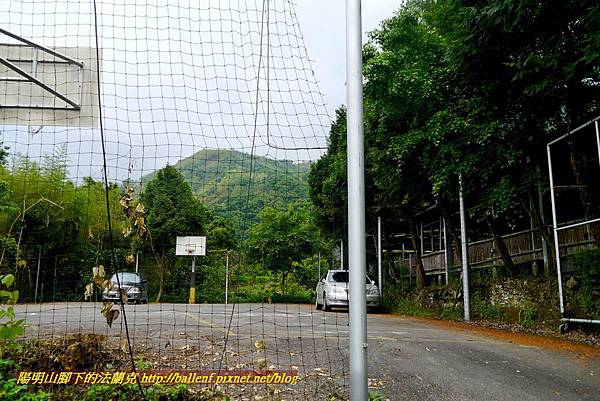 P1970124.jpg P1970124.jpg