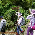 P1980932.jpg