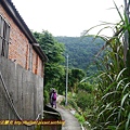 P1980947.jpg