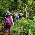 P1980964.jpg