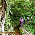 P1980991.jpg