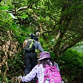 P1990025.jpg