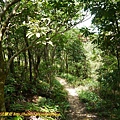 P2030279.jpg