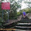 P2040120.jpg