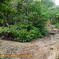 P2040164.jpg