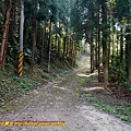 P2130199-2.jpg