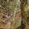 P2160409.jpg