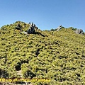 P1000858.jpg
