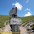 P1000879.jpg