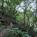 P1020433.jpg