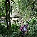 P1020467.jpg