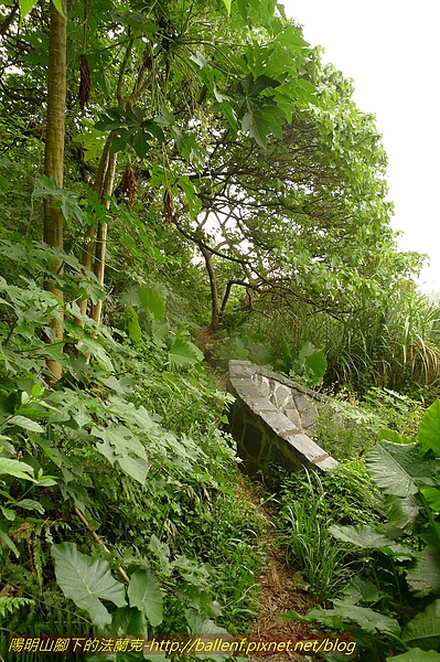 P1050626.jpg