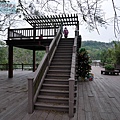 P1040860.jpg