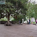 P1040877.jpg