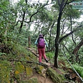 P1060087.jpg
