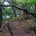 P1060089.jpg