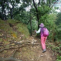 P1060092.jpg