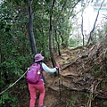 P1060091.jpg