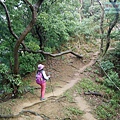 P1060093.jpg