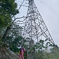 P1060094.jpg