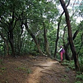 P1060097.jpg