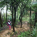 P1060098.jpg
