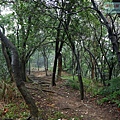 P1060099.jpg