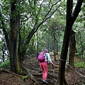 P1060100-1.jpg
