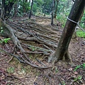 P1060100-2.jpg