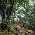 P1060102.jpg