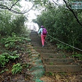 P1060104.jpg