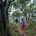 P1060113.jpg