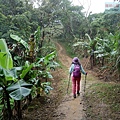 P1060119.jpg