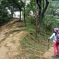 P1060124.jpg
