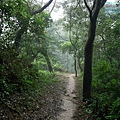 P1060126.jpg
