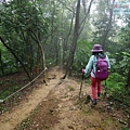 P1060130.jpg