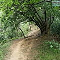 P1060134.jpg