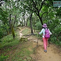 P1060137.jpg