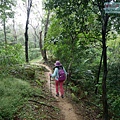 P1060138.jpg