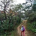 P1060144.jpg