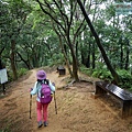 P1060145.jpg