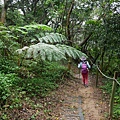 P1060147.jpg