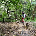 P1060148.jpg