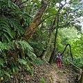 P1060150.jpg