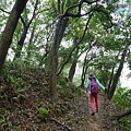 P1060153.jpg