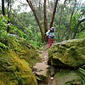 P1060157-1.jpg