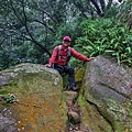 P1060157-2.jpg