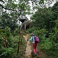 P1060164.jpg