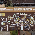 DSCN5570.jpg